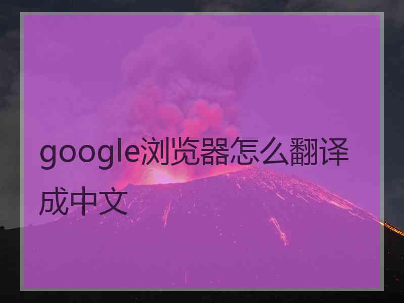 google浏览器怎么翻译成中文